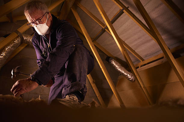Best Insulation for Specific Applications in Holland, MI