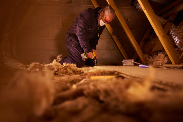 Best Insulation for Specific Applications in Holland, MI